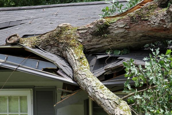Storm Remediation in Upper Marlboro