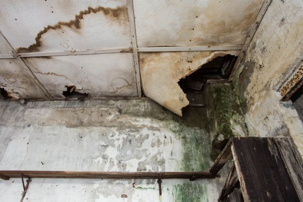 Water Damage Service in Upper Marlboro