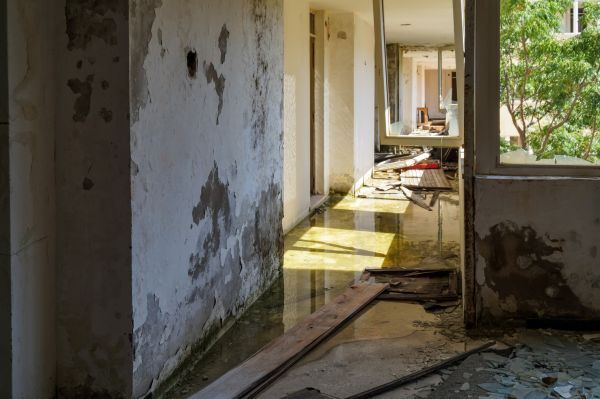 Cost of Water Removal Service in Upper Marlboro
