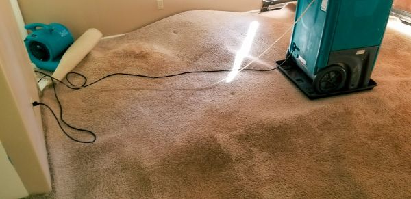 Carpet Water Extraction in Upper Marlboro