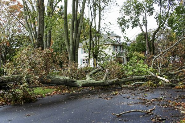 Tornado Damage Repair in Upper Marlboro