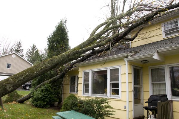 Hurricane Damage Repair in Upper Marlboro