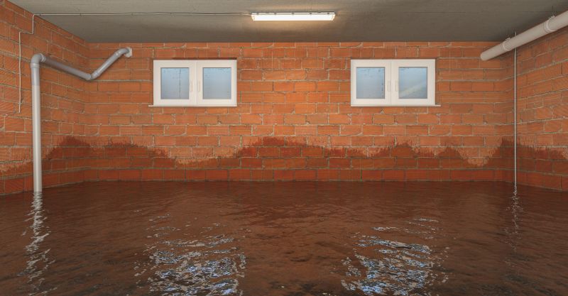 Basement Flood Restoration