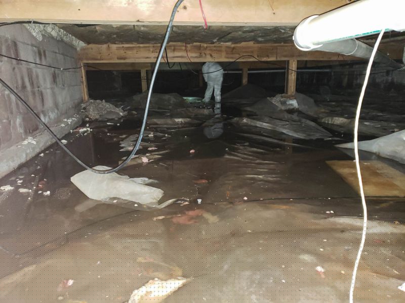 Crawlspace Water Cleanup